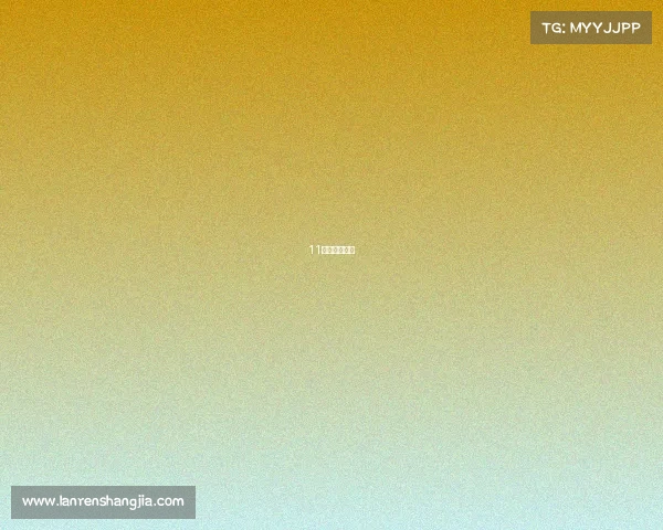 11月份体育赛事